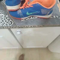 کفش پوتین و ورزشی سالن ی و چمنی درجه 1|کیف، کفش، کمربند|گنبد کاووس, |دیوار