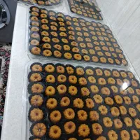 حلوا|خوردنی و آشامیدنی|زنجان, |دیوار