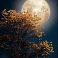 دنبال شغل دوم