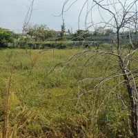 زمین۱۵۰متری پلاک شده آماده‌ ساخت/سندتکبرگ|فروش زمین و ملک کلنگی|چمستان, |دیوار