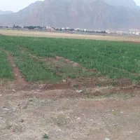 فروش زمین دهپهن ۱۴۰۰متر