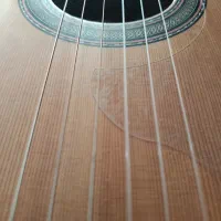 آموزش گیتار (مدرس خانم)