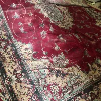 فرش ماشینی خوش قیمت|فرش|شیراز, سعدیه شمالی|دیوار