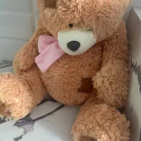 سه عدد خرس پولیشی نو