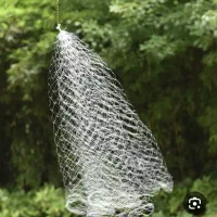 یه تور لنسرماهیگیری