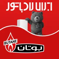 تعمیرات و نصب تخصصی انواع پکیج و رادیاتور|خدمات پیشه و مهارت|رودهن, |دیوار