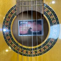 گیتار مدل رویال کلاسیک|گیتار، بیس، امپلیفایر|فردیس, فردیس|دیوار