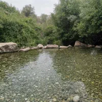 تور باغملک حضرت سلیمون