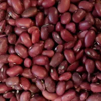 سی کیلو لوبیا قرمز