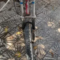 دوچرخه ۲۶|دوچرخه، اسکیت، اسکوتر|تالش, هشتپر|دیوار