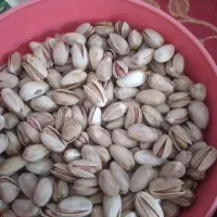 تقاضای نیروی کار