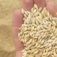 جو خارجی ۸۵۰کیلو