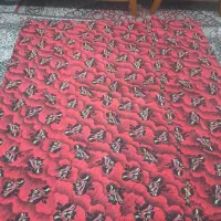 لحاف|رختخواب، بالش، پتو|گرگان, |دیوار