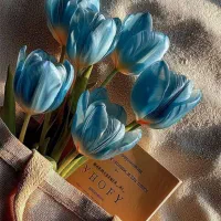 استخدام برای جعبه سازی