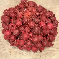 انار خشک یلدا|صنایع دستی و سایر لوازم تزئینی|تهران, قیطریه|دیوار