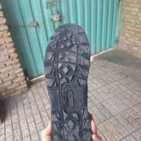 کفش آمریکایی|کیف، کفش، کمربند|آزادشهر, |دیوار