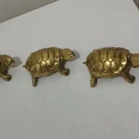 لاک پشت برنجی