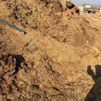 کاه پارسال|حیوانات مزرعه|شوشتر, |دیوار