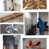 سمپاشی مرکز تخصصی سم پاشی ساس سوسک موش کنه بید کک|خدمات نظافت|تهران, صادقیه|دیوار