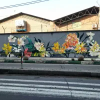 دیوارنویسی مدارس و نقاشی باغ دیوار نویسی رنگ سوله