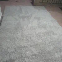 پالاز|موکت|ارومیه, |دیوار