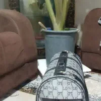 کیف حمل سگ و گربه