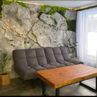 دکور صخره ای سیمانی|خدمات پیشه و مهارت|لواسان, |دیوار