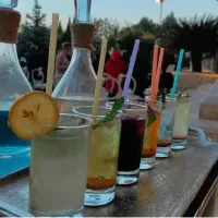بارمن، باریستا ،آبمیوه  فینگرفود