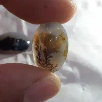 سنگ شجر|جواهرات|تهران, هرندی|دیوار