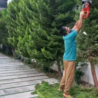 هرسکاری تخصصی با دستگاه و سمپاشی، علف تراش|خدمات باغبانی و درختکاری|چمستان, |دیوار