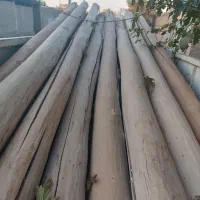 خرید فروش درخت خشک قلمه از مرند وحومه