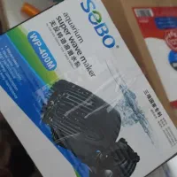 آکواریوم آب شور و لوازم|ماهی|کرمانشاه, |دیوار