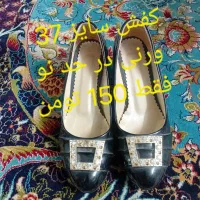 کوله و کفش|کیف، کفش، کمربند|مشهد, کوی دروی|دیوار