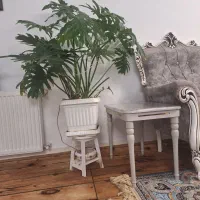 گل و گیاه|گل و گیاه طبیعی|هشتگرد, فاز ۳ مهستان|دیوار