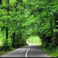 226متر-زمین-مسکونی-سند-دار-جاده-کیاشهر
