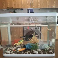 آکواریوم سالم به همراه تمام لوازم