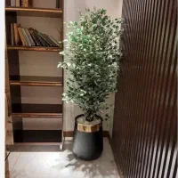 درختچه مصنوعی گل مصنوعی|گل مصنوعی|رشت, سلیمانداراب|دیوار