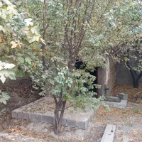 باغ|فروش خانه و ویلا|محمدشهر, عباس آباد|دیوار