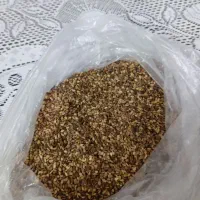 کنجد قهوه ای ایرانی