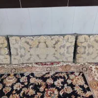 پشتی سالم