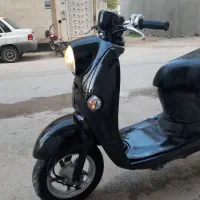 پاکشتی وینو