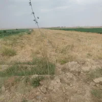 گلخانه