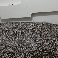 تخت و کمد دونفره|تخت و سرویس خواب|مرودشت, استادیوم‎|دیوار