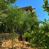 اجاره ویلا استخردار|اجارهٔ کوتاه‌مدت ویلا و باغ|ایذه, |دیوار