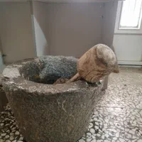 یانه قدیمی|کلکسیون اشیاء عتیقه|اصفهان, کوی گلزار|دیوار