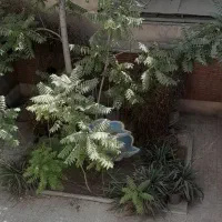 ۱۲۵ متری ستارخان بهبودی تک واحدی|اجارهٔ خانه و ویلا|تهران, توحید|دیوار