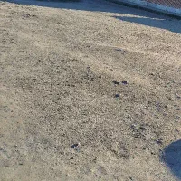 زمین-مسکونی-اکبر-آباد