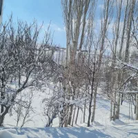 نهال  فندق  حدود ۲۰۰ عدد بارده