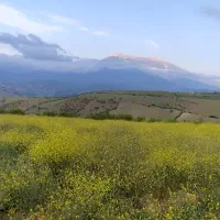 گیلانگردی دخترونه|تور و چارتر|سنگر, |دیوار