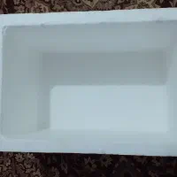 کائوچو برا ماهی|ماهی|هندیجان, |دیوار